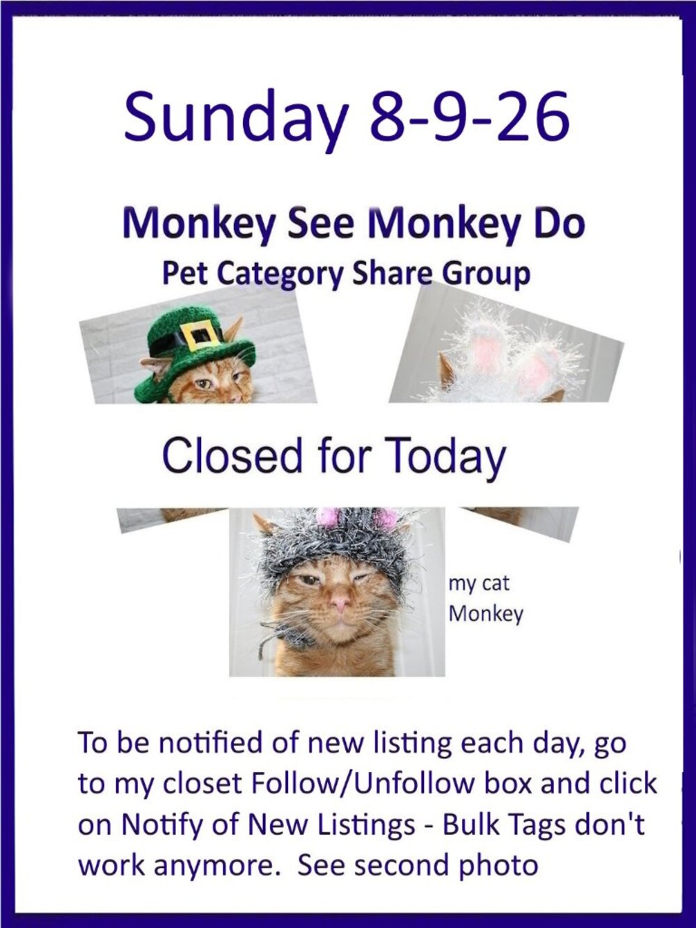 Sunday 8-9-26 Dog Cat Small Animal Pet Share Discussion Group